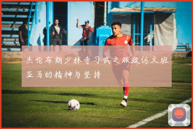 杰伦布朗少林寺习武之旅效仿文班亚马的精神与坚持